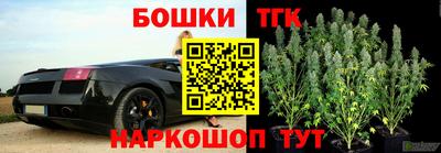 крисы Малоярославец